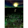 Tales of Galldoria door Neil Wilson