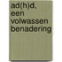 AD(H)D, een volwassen benadering