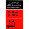 The Book Of Daniel door Raymond Hammer