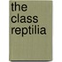The Class Reptilia