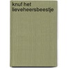 Knuf het lieveheersbeestje