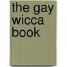 The Gay Wicca Book by Bruce K. Wilborn