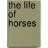 The Life Of Horses