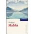 The Life of Mahler