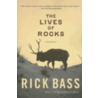 The Lives of Rocks door Rick Bass