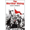The Merthyr Rising by Gwyn A. Williams