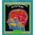 The Nervous System