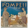 The Pompeii Pop-Up door Peter Riley