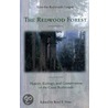 The Redwood Forest door Onbekend
