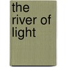 The River of Light door Rabbi Lawrence Kushner
