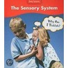 The Sensory System by Sue Barraclough