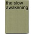 The Slow Awakening