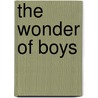 The Wonder Of Boys door Michael Gurian