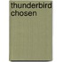 Thunderbird Chosen