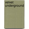 Velvet Underground door Jim Derogatis