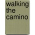 Walking the Camino