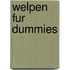 Welpen Fur Dummies