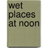 Wet Places at Noon