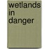 Wetlands In Danger