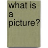 What Is a Picture? door Onbekend
