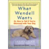 What Wendell Wants by Jenny Lee