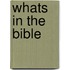 Whats In The Bible