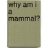 Why Am I A Mammal?