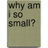 Why Am I So Small?