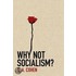 Why Not Socialism?