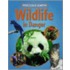Wildlife In Danger