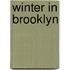 Winter In Brooklyn