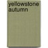 Yellowstone Autumn