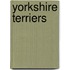 Yorkshire Terriers