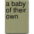 A Baby Of Their Own