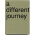 A Different Journey