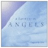 A Harmony Of Angels door Angela McGerr
