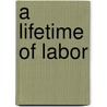 A Lifetime Of Labor door Arlene Kaplan Daniels