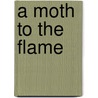 A Moth to the Flame door Connie Zweig