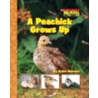 A Peachick Grows Up door Katie Marsico