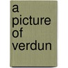 A Picture Of Verdun door James Lawrence