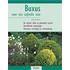 Buxus voor een stijlvolle tuin