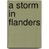A Storm In Flanders