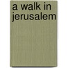 A Walk In Jerusalem door John L. Peterson