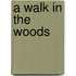 A Walk In The Woods