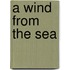 A Wind From The Sea