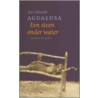 Een steen onder water by José Eduardo Agualusa