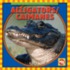 Alligators/Caimanes