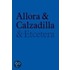 Allora & Calzadilla