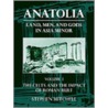 Anatolia Vol 1 Cp P door Stephen Mitchell