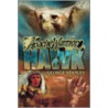 Apache Warrior Hawk by George Stanley